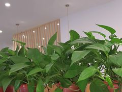 -守柴炉烤鸭(中海国际店)