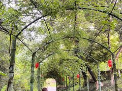 -韶关经律论国际酒店温泉