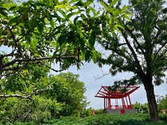 -大望京公园