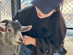 -怪兽屋·羊驼·猫咖·狗咖(俊华广场店)