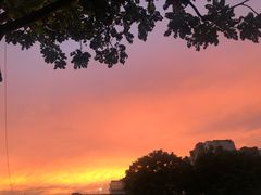 -茶理宜世(东方宝泰店)