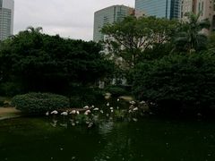 -九龙公园