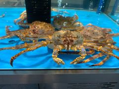 -麦德龙(郑东店)