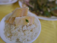 -巫记鸡饭店
