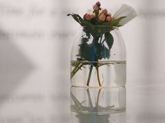 景观位-boundaries籬苑(瑞光创意工厂-贰号院店)