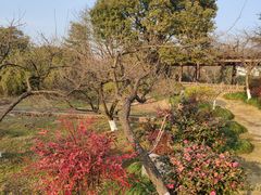 -白马涧龙池景区