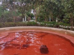 -嘉兴清池酒店温泉