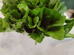 -喜聚薈·花膠雞海鮮火鍋(越秀店)