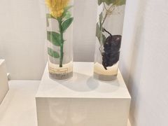 -广东中医药博物馆