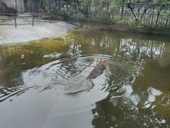 -成都动物园