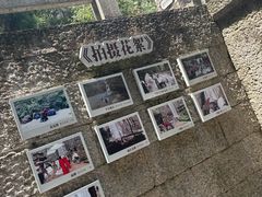 -刘伯温故里景区百丈漈
