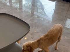 -贝康宠物医院·犬猫全科·小动物特色诊疗中心(东环路店)