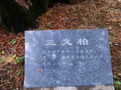 -仓颉庙
