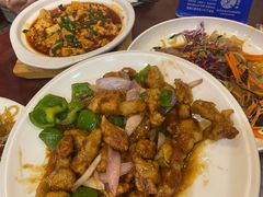 -邵年鸽(杨庄店)
