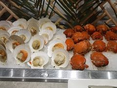 -太湖饭店玉兰厅(自助餐厅)