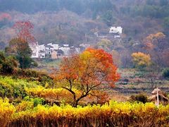 -塔川景区