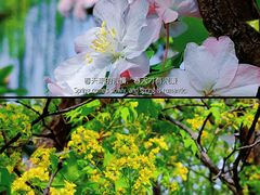 -朝阳公园
