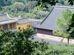 -树山生态村