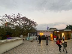 -新榕记滨江壹號