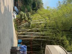 -金水泊山庄·花椒鸡(铁山坪店)