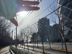 -大望京公园