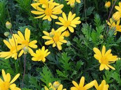 -阿杰臻选海鲜饭店(普陀山店)