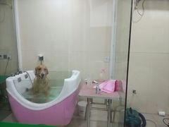 -佳雯宠物医院(四明中路分院)