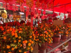 -越秀西湖花市(广州城市广场花卉店)