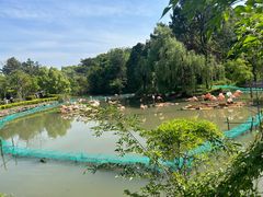 -宁波野生动物园