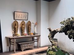 -觀芷隐轩