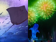 -珠海长隆海洋王国