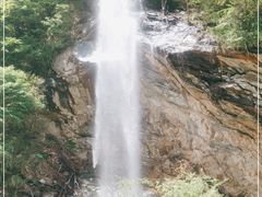 -少华山国家森林公园