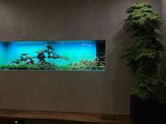 -松临·铁板烧&Omakase(神农店)