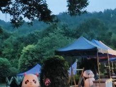 -都江堰中华大熊猫苑