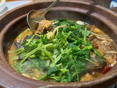 -九道菜有鸡鱼头(石鼓路店)