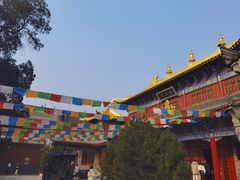 -西安市广仁寺