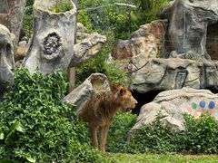 -海南热带野生动植物园