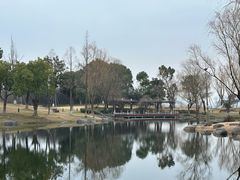 -苏州金鸡湖大酒店