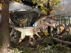 -湖南省地质博物馆