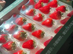 -山姆会员商店(杨桥西路店)