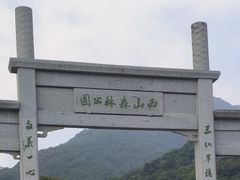 -龙坞茶村