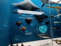 -国家自然博物馆