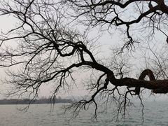 -浙江西子宾馆·瑶园咖啡厅