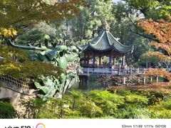 -申粤轩·手工点心·金牌烧味·经典粤菜(丁香花园店)