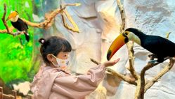 -Zoolung Zoolung动物主题公园(海信广场店)