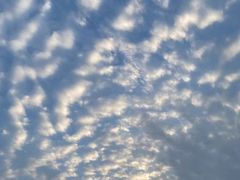 -成都蒲江花样年福朋喜来登度假酒店·宜客乐西餐厅