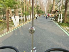 -合肥滨湖国家森林公园