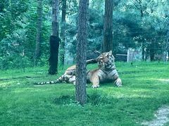 -北京野生动物园