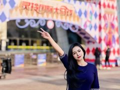 -灵玲国际马戏城