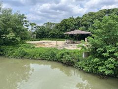 -宁波野生动物园